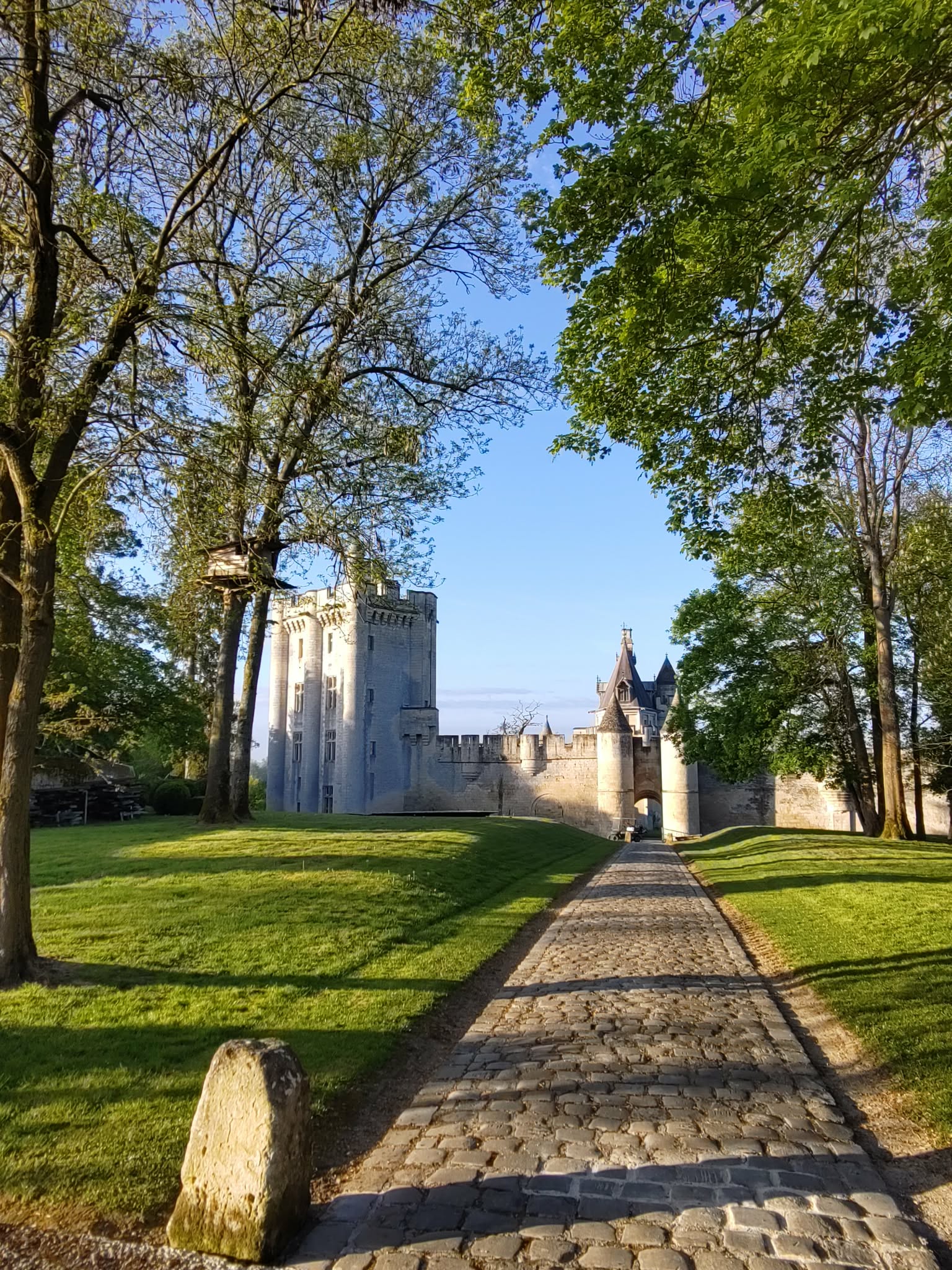 58ff7b07-16cb-41ee-a496-c66706fd68fb